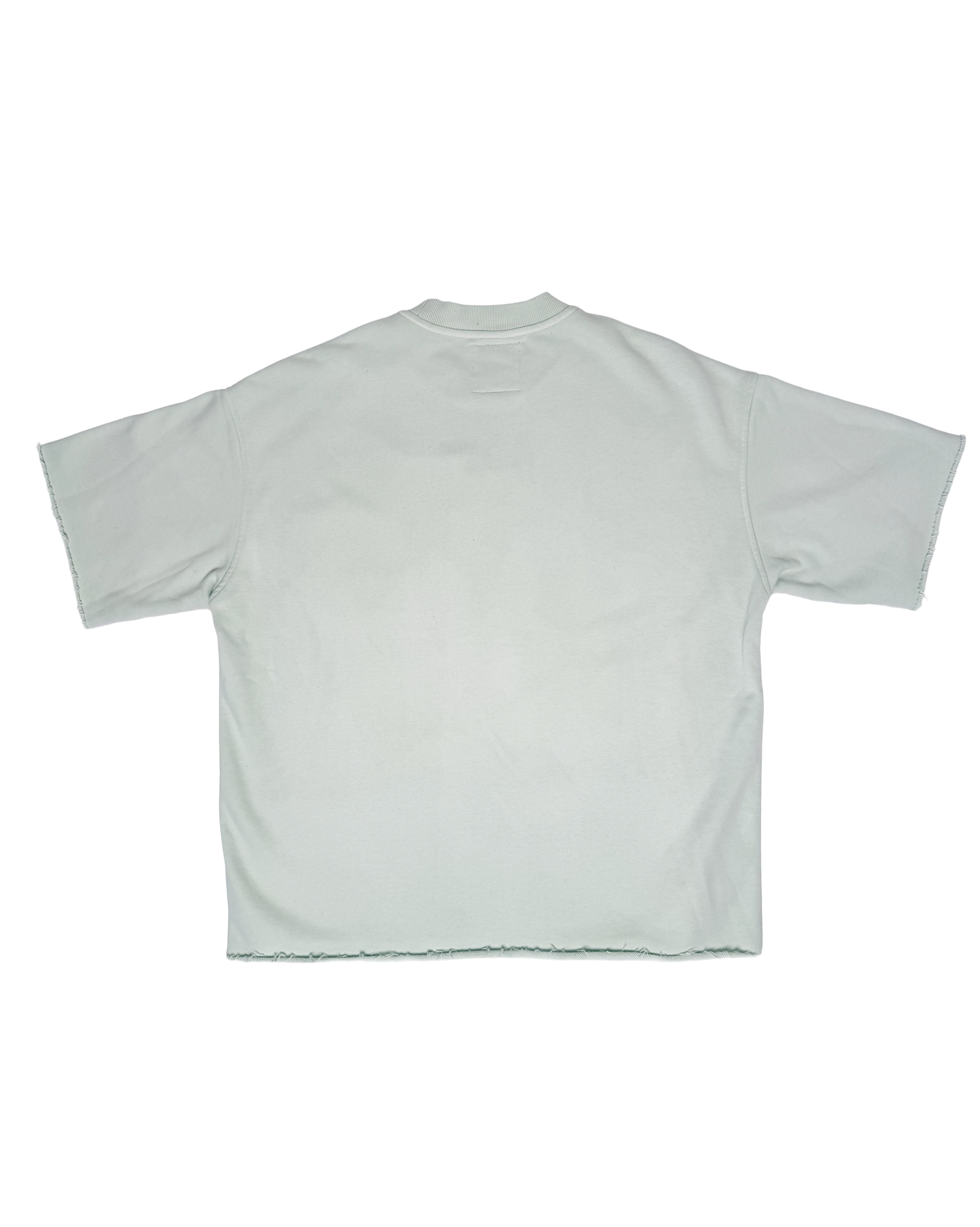 Blue Jay Rework Sweatshirt Tee (S)